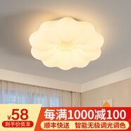 梵季（Fanji） 梵季網(wǎng)紅花朵臥室吸頂燈現(xiàn)代簡約主臥燈具溫馨浪漫男女孩兒童房 50W 20㎡內(nèi)適用 48000lm