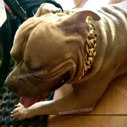 泰瑞格大寵物項圈拉布拉多犬法斗金毛項鏈塑料大金鏈子 金色 80cm