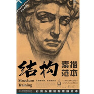 結(jié)構(gòu)素描范本7：石膏頭像結(jié)構(gòu)素描范本