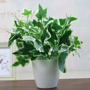 禮赫家飾 仿真綠植 仿真綠蘿假花植物室內外辦公室客廳裝飾活動(dòng)布置盆栽仿真花草 大爬山虎+2號盆套裝