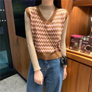 秋冬季無(wú)袖V領(lǐng)毛衣毛線(xiàn)馬甲女式短款針織衫秋季新款女V領(lǐng)寬松織馬甲背心+半高領(lǐng)打底衫女兩 咖色馬甲 L【建議100-110斤】