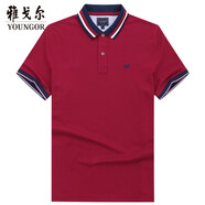 雅戈爾（YOUNGOR） T恤男士 春季青年男休閑短袖T恤 YSPC520077KFA 紫色 2XL