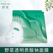 野菜面膜清潔面膜補(bǔ)水深層清潔毛孔垃圾男女保濕深層補(bǔ)水 野菜面膜 10片