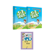 53天天練套裝共3冊小學語文+數(shù)學一年級上冊RJ（人教版）贈寫寫畫畫練習本2020年秋五三