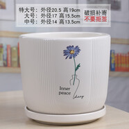 裕軒堂陶瓷花盆個性特大號創(chuàng)意多肉室內(nèi)簡約吊蘭綠蘿家用陽臺綠植帶托盤 7249471 14厘米左右