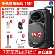 先科廣場舞音響專業(yè)戶外k歌音箱帶話筒家用拉桿藍(lán)牙手拉麥克風(fēng) 15吋+單話筒+單耳麥