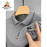 稻草人純棉長(zhǎng)袖t恤男士高端刺繡polo男衫翻領(lǐng)爸爸裝春秋季上衣體恤潮 LL長(zhǎng)袖-灰色【100棉】 2XL 【建議155-170斤】