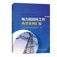 電力招投標(biāo)工作典型案例匯編