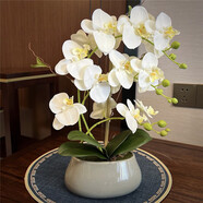 綠秀 年宵花卉蝴蝶蘭仿真花套裝客廳落地假花盆栽臥室擺件塑料花植物 白色蝴蝶蘭套裝