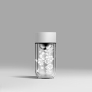 雷德夫（LEIDFOR）G5 雙層玻璃杯【花卉】系列 水杯車載辦公杯子 【原創(chuàng)設(shè)計(jì) 版權(quán)】 天際白櫻花 200ml