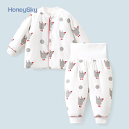 honeysky哈尼天空 嬰兒衣服套裝冬季四季款男女寶寶休閑居家服兒童加厚保暖上衣高腰護(hù)肚長(zhǎng)褲兩件套 灰點(diǎn)點(diǎn) 66cm(3-6個(gè)月)