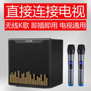 家庭ktv電視k歌無線話筒投影儀唱歌設(shè)備套裝卡拉ok藍(lán)牙麥克風(fēng)家用 普通音響版+2個（電池）麥