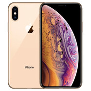 蘋(píng)果xsmax Apple iPhone XS Max 雙卡雙待 國(guó)行全網(wǎng)通 二手蘋(píng)果手機(jī) 金色 95新 256G【更換品牌電池100】+20W快充