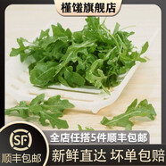 槿饈芝麻菜500g 新鮮蔬菜沙拉食材 生菜西餐 火箭菜 新鮮采摘基地直發(fā) 新鮮芝麻菜500g