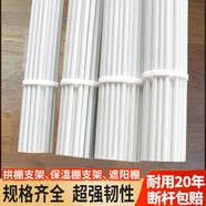WTGD農(nóng)用實(shí)心小拱棚支架蔬菜育苗園藝拱竿玻璃纖維桿溫室大棚內(nèi)棚專用 20根實(shí)心【體驗(yàn)裝】 5毫米粗2米長