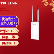 普聯(lián)（TP-LINK） 企業(yè)級室外無(wú)線(xiàn)AP網(wǎng)絡(luò )覆蓋接入點(diǎn) 專(zhuān)業(yè)室內外 無(wú)線(xiàn)基站wifi接入點(diǎn) TL-AP1201P （貨發(fā)替換款）