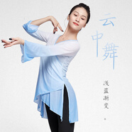 艾舞戈古典舞練功服女飄逸網(wǎng)紗喇叭袖芭蕾舞上衣成人民族身韻舞蹈服紗衣 淺藍(lán)漸變 2XL