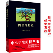 黑皮系列課外閱讀：搗蛋鬼日記（一本充滿童趣的兒童日記，一部搞怪無限的惡作劇合集）小學(xué)閱讀