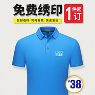印至美 POLO定制T恤印logo廣告衫文化衫訂做夏季工裝定做短袖工衣工作服印字刺繡 湖 藍 XL