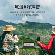 維爾晶（W-King） D8mini手提式便攜低音炮戶外露營(yíng)音響車載藍(lán)牙音箱看電影打游戲感受震撼聲效支出U盤內(nèi)存卡播放 軍綠色