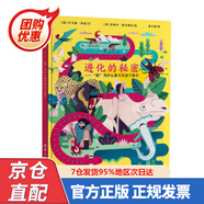 【包郵正版新書】數(shù)、形與對(duì)稱性:數(shù)論，幾何和群論導(dǎo)論 [美]黛安·L.赫爾曼 978756039973 哈爾濱工業(yè)