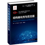 化工過程強(qiáng)化關(guān)鍵技術(shù)叢書--結(jié)構(gòu)催化劑與反應(yīng)器