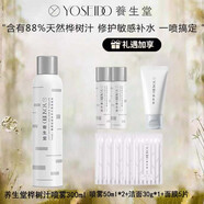 養(yǎng)生堂天然樺樹汁補水保濕噴霧補水保濕收縮毛孔提亮膚色修護舒緩 300ml