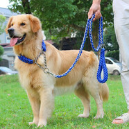 SLPC狗繩金毛狗鏈子中大型犬p繩項(xiàng)圈遛狗繩哈士奇邊牧馬犬寵物牽引繩 藍(lán)色 S號適合5到15斤