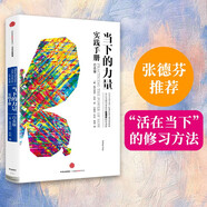 當(dāng)下的力量實(shí)踐手冊（白金版）埃克哈特·托利經(jīng)典之作 張德芬推薦