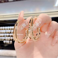 DidiZoo東大門(mén)時(shí)尚鏤空網(wǎng)狀水晶耳圈氣質(zhì)個(gè)性夸張設計感s925銀針耳環(huán)耳扣 鏤空網(wǎng)狀水晶耳圈(加厚保色)