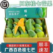 南步桂七芒果【順豐速發(fā)】廣西百色田東大青皮芒貴七香芒新鮮水果禮盒 8斤特大果【單果5兩+】順豐快遞