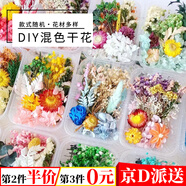 東之天地 干果干花樹葉DIY花材材料包香薰蠟燭天然植物松果永生花手工裝飾 混色干花花材盒【隨機一盒裝】