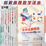 圖解直觀數(shù)學(xué)譯叢全9冊 無字證明精選中學(xué)生能看懂的198個趣題+數(shù)學(xué)寫真集4季+散度旋度梯度釋義+麥克斯韋方程直觀+組合證明的藝術(shù)+群論彩圖版 數(shù)學(xué)寫真集 無需語言的證明 集合 微積分 數(shù)學(xué)讀物