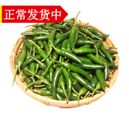 辰實(shí)【現摘】新鮮青辣椒 特辣 小米辣椒 青朝天椒 超辣生小青辣椒 3斤 （青小米辣）