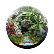 七流婉微觀(guān)苔蘚微景觀(guān)斜口玻璃花瓶苔蘚多肉DIY生態(tài)瓶家居辦公桌 龍貓森林斜口13點(diǎn)5cm