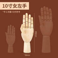 柏倫斯漫畫小木人模型木頭人素描繪畫木偶人關(guān)節(jié)人偶模型木手人體模型美術(shù)用室內(nèi)擺件 10英寸【24cm】女人左手