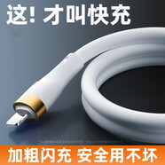 圣德毅 適用iPhone14蘋(píng)果13數據線(xiàn)PD30W快充適用ipad平板手機充電線(xiàn)閃充 【加速快充】蘋(píng)果USB/加大加粗/2條裝 1m