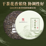 茶者（chazhe）2022年普洱茶生茶韻藏七子餅茶葉 2022年 易武韻藏 357克 * 1片