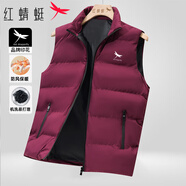 紅蜻蜓（RED DRAGONFLY）冬季男加厚保暖簡約舒適百搭休閑運動立領(lǐng)防風(fēng)上衣馬甲 紅色 M