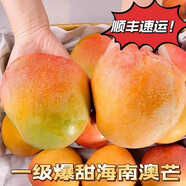 甘賢（GANXIAN）海南澳芒【順豐】現摘新鮮水果禮盒裝超甜多汁海南大芒果三亞特產(chǎn) 精美禮盒 10斤裝（凈重8斤）