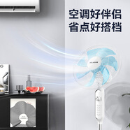 美菱（MeiLing）電風扇落地扇家用大風量電風扇落地扇 白色機械定時款