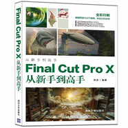 Final Cut Pro X從新手到高手（從新手到高手）