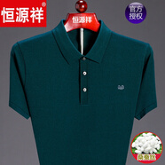 恒源祥 T恤男短袖純色翻領(lǐng)桑蠶絲中老年爸爸裝夏季薄款男士T恤衫 3077綠色(無(wú)口袋) XL 180【建議160-175斤】