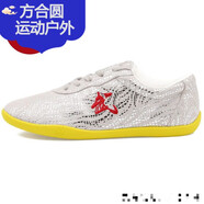 承虹競賽武術(shù)鞋 武術(shù)競賽鞋武術(shù)比賽鞋訓練鞋表演鞋專(zhuān)業(yè)兒童男女 銀色 28