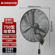 志高（CHIGO）大功率工業(yè)掛壁式風(fēng)扇強(qiáng)力電扇掛墻壁式家用商用大風(fēng)力掛壁扇牛角扇壁扇壁掛式工廠養(yǎng)殖場(chǎng)電風(fēng)扇 750掛壁扇【線控款】【塑鋼葉三檔長(zhǎng)線加密網(wǎng)】