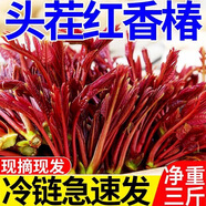 仟藝濃現(xiàn)摘紅油香椿芽新鮮頭茬嫩芽野生香椿葉現(xiàn)摘蔬菜香春野菜 頭茬100g普通裝 2024年頭茬-冷鏈運(yùn)輸-現(xiàn)摘