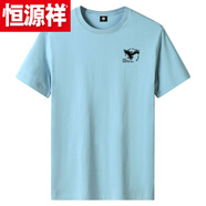 恒源祥兩件裝休閑純棉短袖T恤男大碼寬松圓領(lǐng)潮流打底衫體恤舒適速干 淺藍(lán) 小鷹1件裝 4XL 建議：175-190斤