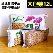 歐悟 蝴蝶蘭花苗盆栽室內(nèi)觀花植物桌面陽臺(tái)年宵花卉四季開花綠植花卉 蝴蝶蘭專用水苔