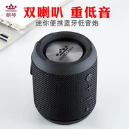 朗琴（ROYQUEEN） M350無線藍(lán)牙音箱插卡戶外便攜式重低音炮手機(jī)迷你小音箱音響TWS無線互聯(lián) 魅惑黑 官方標(biāo)配
