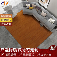 中盾家用石墨烯碳晶地暖墊電熱地毯地?zé)峒訜岬匕逡苿尤∨l(fā)熱取暖地墊 巴利斯8143紅棕色 180*75cm